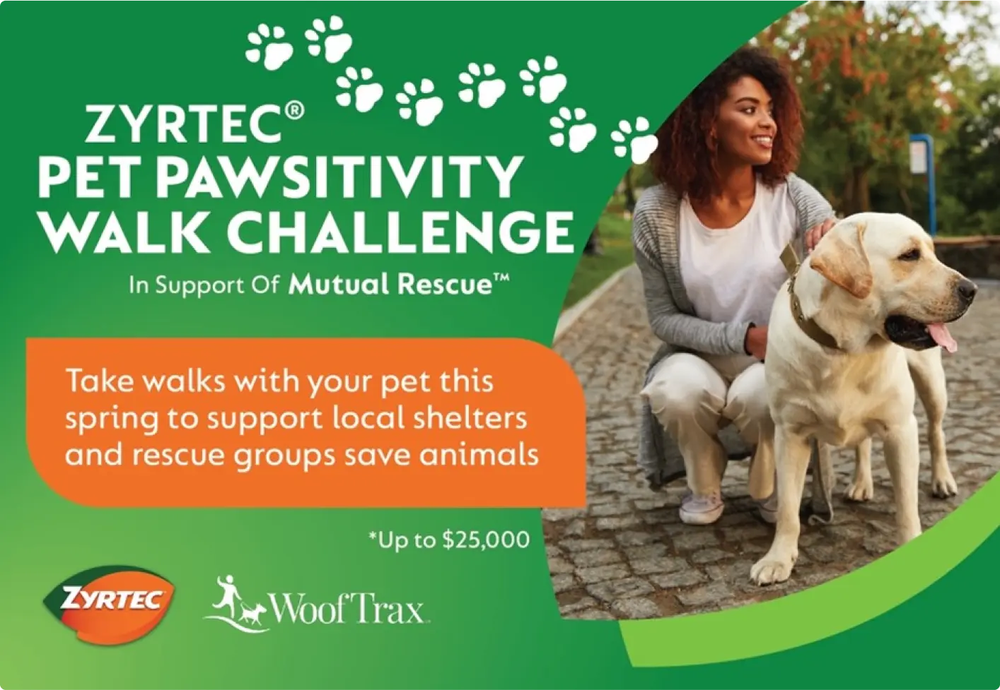 Zyrtec Pet Pawsitivity Challenge promotional banner image featuring a person and a dog on a walk.