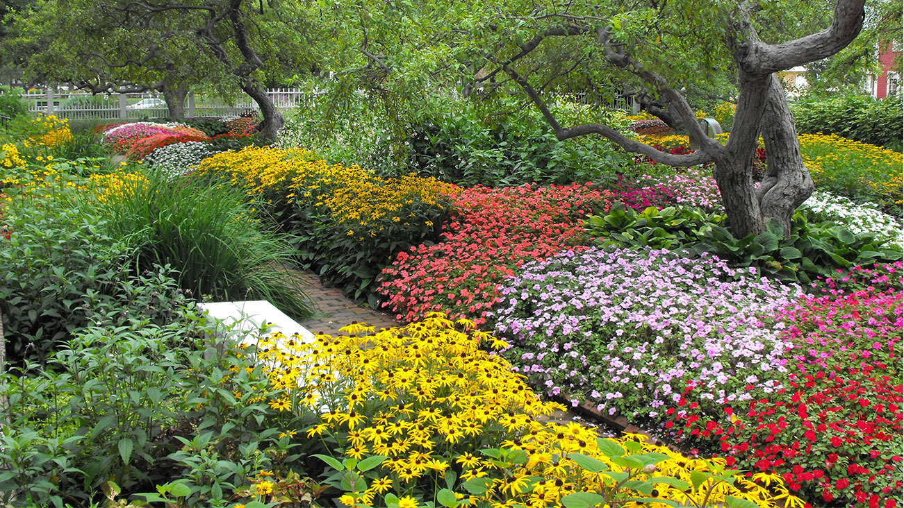 Garden full of colorful flowers