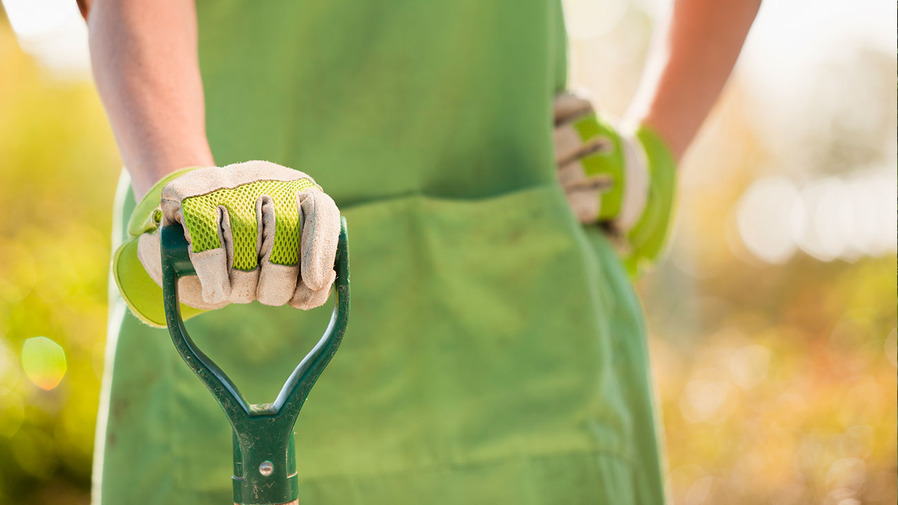 Person wearing gardening gear, including gloves and an apron