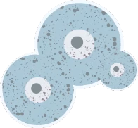 Illustration of aspergillus spores