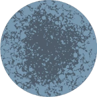 Ilustración de una espora de moho azul