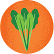 Illustration of celery