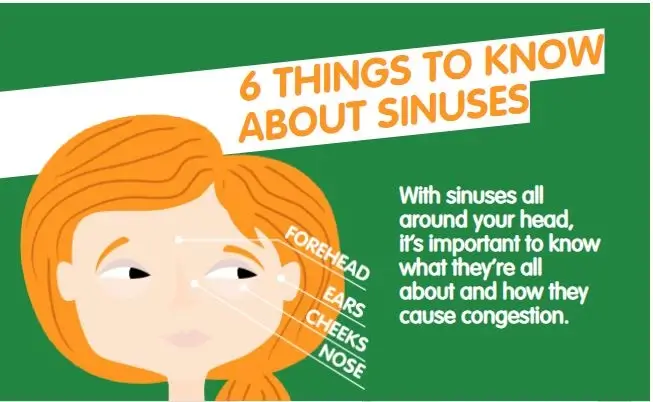 Infographic titled "6 things to Know About Sinuses"