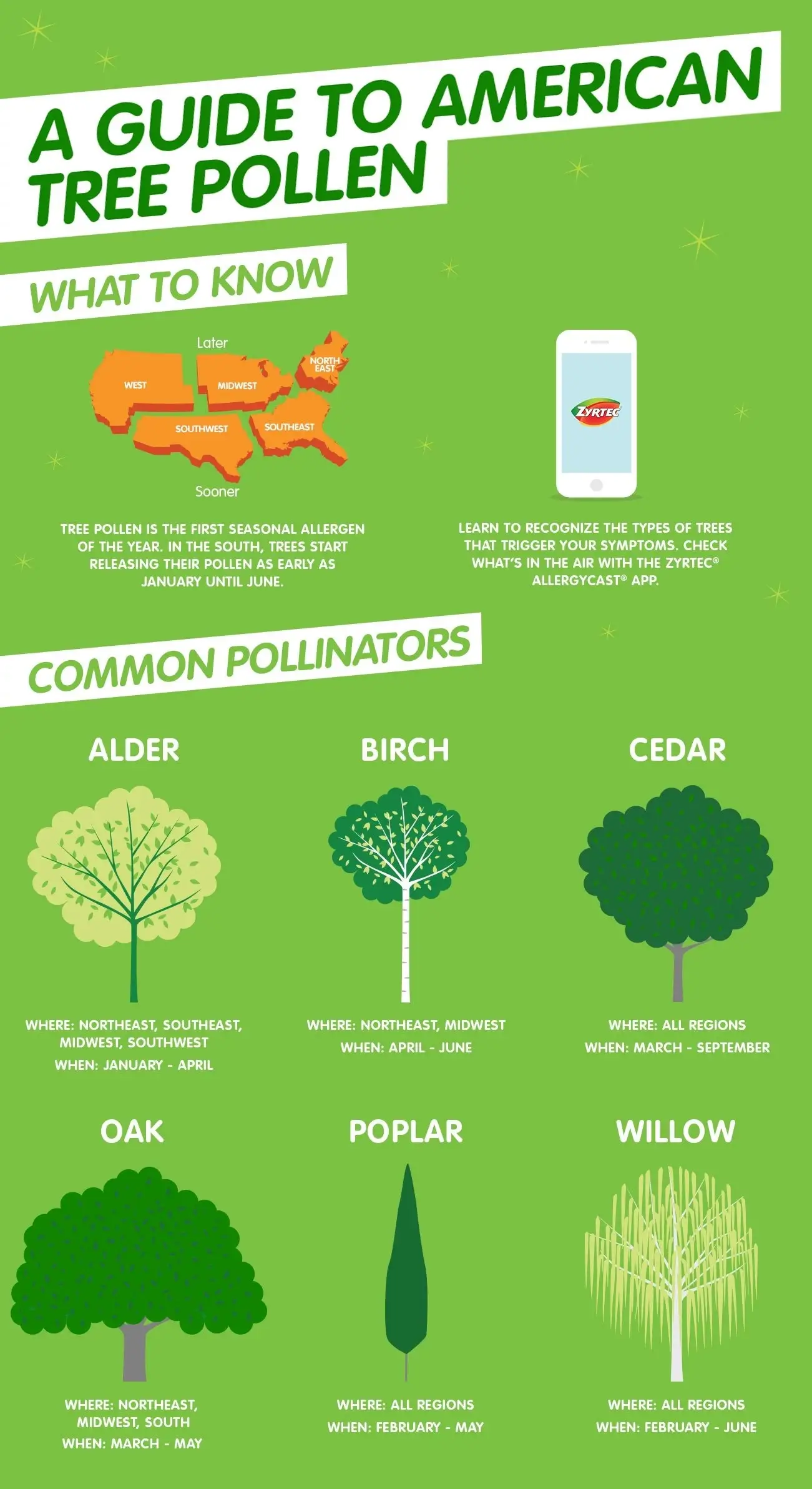 Infografía sobre el polen de los árboles titulada: "Guía sobre el polen de los árboles estadounidenses"