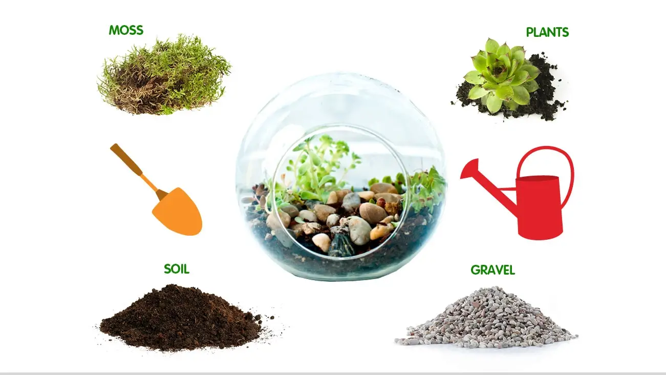 Collage of supplies to create a terrarium such as moss, plants, soil and gravel
