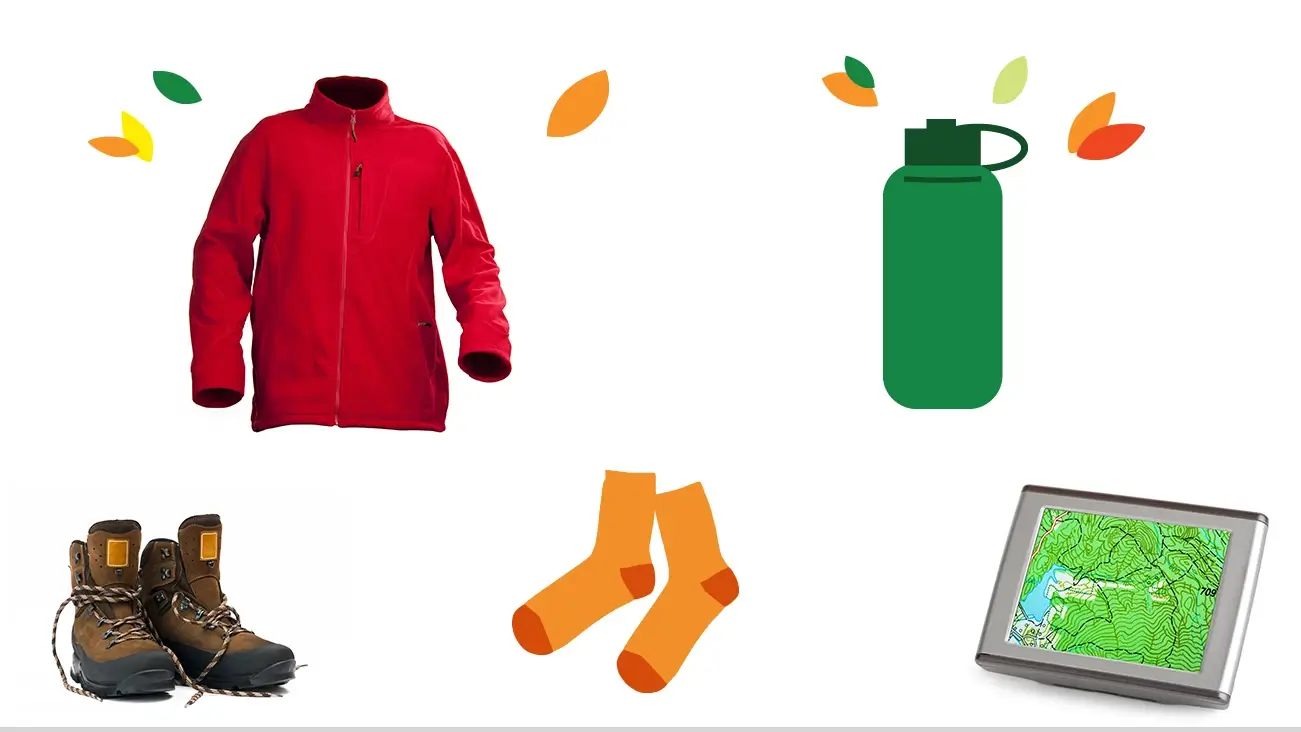 Collage de botas para senderismo, abrigo, calcetines, botella de agua y GPS con ilustración de hojas de otoño