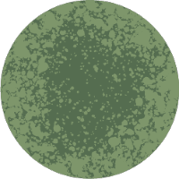 Ilustración de una partícula de moho verde
