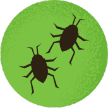 Ilustración de insectos sobre un fondo verde
