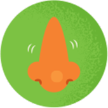 Ilustración de una nariz sobre un fondo verde