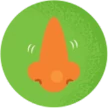 Illustration of a nose on a green background