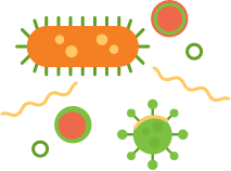 Imagen de bacteria y microbiota