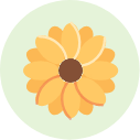 Yellow flower graphic