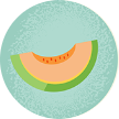 Illustration of a melon