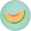 Melon fruit