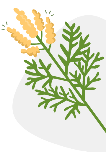 Ragweed plant