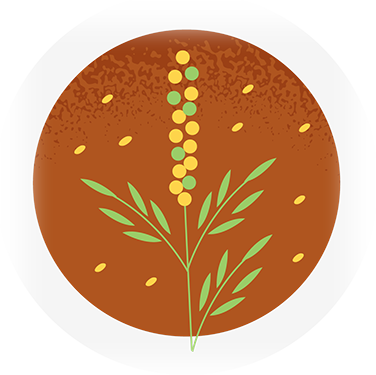 Illustration of a ragweed plant covered in pollen