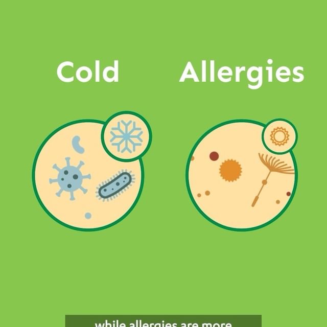 The common cold and allergies