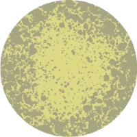 Yellow mold